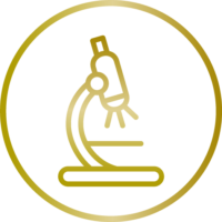 Diagnostik Frankfurt