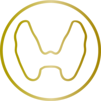 Schilddrüse Frankfurt