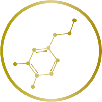 Hormontherapie Frankfurt